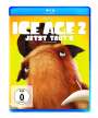 Carlos Saldanha: Ice Age 2 - Jetzt taut's (Blu-ray), BR