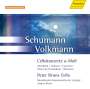 Robert Volkmann: Cellokonzert a-moll op.33, CD