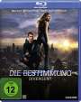 Neil Burger: Die Bestimmung - Divergent (Blu-ray), BR