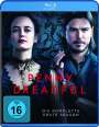 : Penny Dreadful Season 1 (Blu-ray), BR,BR,BR