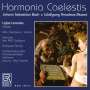 : Lajos Lencses - Harmonia Caelestis, CD