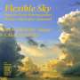 : Han Jonkers - Flexible Sky (Musik für Gitarre & Streichquartett), CD
