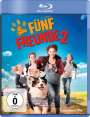 Mike Marzuk: Fünf Freunde 2 (Blu-ray), BR