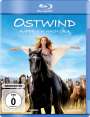 Katja von Garnier: Ostwind 3 - Aufbruch nach Ora (Blu-ray), BR