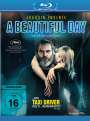 Lynne Ramsay: A Beautiful Day (Blu-ray), BR