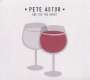Pete Astor: One For The Ghost, CD