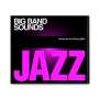 : Süddeutsche Zeitung Jazz CD 10: Big Band Sounds, CD