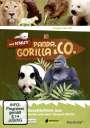 : Panda, Gorilla & Co. Vol. 6 (Folgen 53-56), DVD