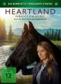 : Heartland - Paradies für Pferde Staffel 14, DVD,DVD,DVD,DVD
