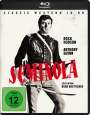 Budd Boetticher: Seminola (Blu-ray), BR