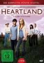 Steve Dimarco: Heartland - Paradies für Pferde Staffel 5, DVD,DVD,DVD,DVD,DVD,DVD