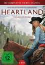 Steve Dimarco: Heartland - Paradies für Pferde Staffel 4, DVD,DVD,DVD,DVD,DVD,DVD