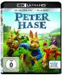 Will Gluck: Peter Hase (Ultra HD Blu-ray & Blu-ray), UHD,BR