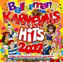 "Ballermann Karnevals Hits 2027" in bunten Buchstaben, mit fröhlich feiernden Menschen und Konfetti im Hintergrund.