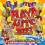 : Ballermann Playa Hits 2023, CD,CD