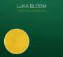 Luka Bloom: This New Morning, CD