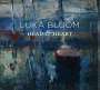 Luka Bloom: Head & Heart, CD