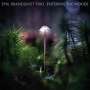 Emil Brandqvist: Entering The Woods, CD