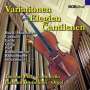 : Werke für Cello & Orgel - Variationen,Elegien,Cantilenen, CD