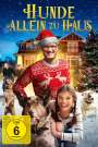Alex Merkin: Hunde - Allein zu Haus, DVD