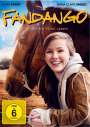 Jonathan Meyers: Fandango, DVD
