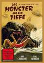 Kenneth Hartford: Das Monster aus der Tiefe (It Came from the Lake), DVD
