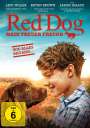 Kriv Stenders: Red Dog - Mein treuer Freund, DVD