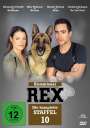 Michael Riebl: Kommissar Rex Staffel 10, DVD