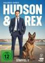 Michael Riebl: Hudson und Rex Staffel 1, DVD,DVD,DVD,DVD