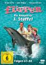 Hollingsworth Morse: Flipper Staffel 3, DVD,DVD,DVD,DVD