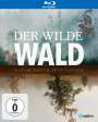 Lisa Eder: Der Wilde Wald - Natur Natur sein lassen (Blu-ray), BR