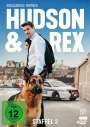 Michael Riebl: Hudson und Rex Staffel 2, DVD,DVD,DVD,DVD