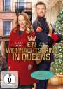 Lee Friedlander: Ein Weihnachtsprinz in Queens, DVD