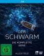 Barbara Eder: Der Schwarm Staffel 1 (Blu-ray), BR,BR,DVD