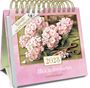 Kalender 2028 "Blick in den Garten" mit 53 Postkarten, rosa Hintergrund, Hortensien, alte Schere, Coppenrath.