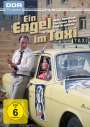 Joachim Hasler: Ein Engel im Taxi, DVD