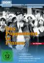 Christian Steinke: Das Puppenheim in Pinnow, DVD