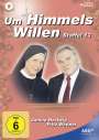 Andi Niessner: Um Himmels Willen Staffel 13, DVD,DVD,DVD,DVD