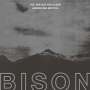 Bison: You Are Not The Ocean You Are The Patient, LP