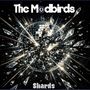 "The Modbirds" oben, "Shards" unten. Eine explodierende Discokugel, umgeben von funkelnden Glassplittern.