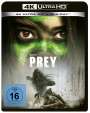 Dan Trachtenberg: Prey (2022) (Ultra HD Blu-ray & Blu-ray), UHD,BR
