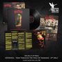 Album-Cover mit Schriftzug: "DSR 265 LP (3rd PRESS) GEHENNA - 'SEEN THROUGH THE VEILS OF DARKNESS - 2nd SPELL'".