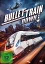 Brian Nowak: Bullet Train Down, DVD