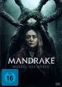 Lynne Davison: Mandrake - Wurzel des Bösen, DVD
