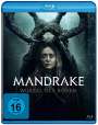 Lynne Davison: Mandrake - Wurzel des Bösen (Blu-ray), BR