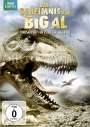 Tim Haines: Das Geheimnis von Big Al, DVD