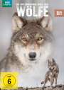 Bo Landin: Die faszinierende Welt der Wölfe, DVD,DVD,DVD
