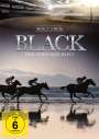 : Black, der schwarze Blitz Box 3, DVD,DVD,DVD,DVD
