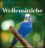 : Wellensittiche 2023 - Postkartenkalender, KAL