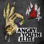 Angry Youth Elite: All Riot (Limited Numbered Edition), LP
